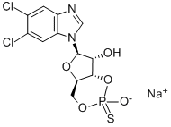 Structure of 120912-55-2